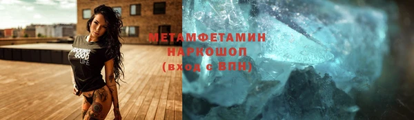 прущие грибы Приозерск