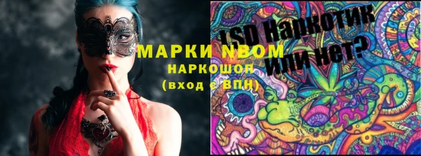ешки Алексин